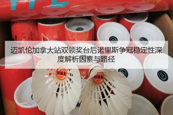迈凯伦加拿大站双领奖台后诺里斯争冠稳定性深度解析因素与路径