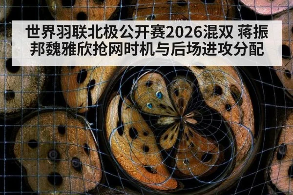 世界羽联北极公开赛2026混双 蒋振邦魏雅欣抢网时机与后场进攻分配